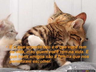 E o que importa não é o que você tem na vida, mas quem você tem na vida. E que bons amigos são a família que nos permitiram escolher.  