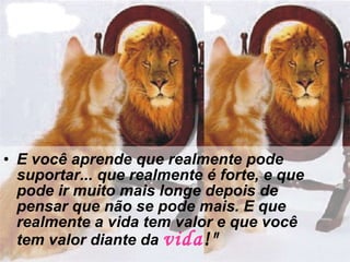 E você aprende que realmente pode suportar... que realmente é forte, e que pode ir muito mais longe depois de pensar que não se pode mais. E que realmente a vida tem valor e que você tem valor diante da  vida !" 