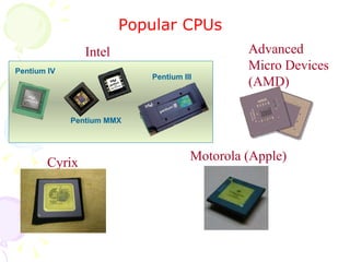 Popular CPUs Intel Advanced Micro Devices (AMD) Cyrix Motorola (Apple) Pentium IV Pentium MMX Pentium III 