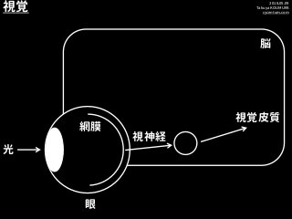 2018.05.09
Takuya KOUMURA
cycentum.com
視覚
光
眼
視細胞
脳
視神経
網膜
視覚皮質
 