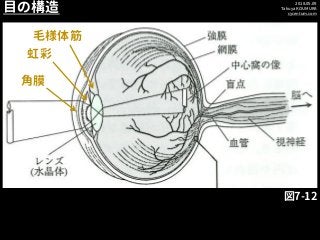 2018.05.09
Takuya KOUMURA
cycentum.com
目の構造
図7-12
角膜
虹彩
毛様体筋
 