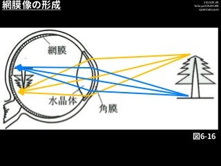 2018.05.09
Takuya KOUMURA
cycentum.com
網膜像の形成
図6-16
 