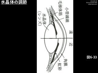 2018.05.09
Takuya KOUMURA
cycentum.com
図6-33
水晶体の調節
 