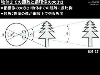 2018.05.09
Takuya KOUMURA
cycentum.com
物体までの距離と網膜像の大きさ
⚫網膜像の大きさ：物体までの距離に反比例
⚫視角：物体の像が網膜上で張る角度
図6-17
 
