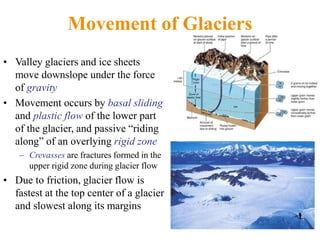 Movement of Glaciers
• Valley glaciers and ice sheets
move downslope under the force
of gravity
• Movement occurs by basal sliding
and plastic flow of the lower part
of the glacier, and passive “riding
along” of an overlying rigid zone
– Crevasses are fractures formed in the
upper rigid zone during glacier flow
• Due to friction, glacier flow is
fastest at the top center of a glacier
and slowest along its margins
 