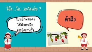 โอ๊ะ...โอ...อะไรเอ่ย ?
ใบหยักผลแดง
ใช้ทาแกงจืด
ยาวยืดเกาะรั้ว
ตาลึง
 