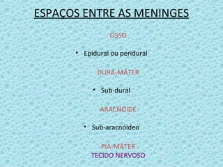 ESPAÇOS ENTRE AS MENINGES
OSSO
• Epidural ou peridural
DURA-MÁTER
• Sub-dural
ARACNÓIDE
• Sub-aracnóideo
PIA-MÁTER
TECIDO NERVOSO
 