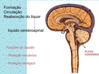 Formação
Circulação
Reabsorção do líquor
líquido cerebrospinal
Funções do líquido:
- Proteção mecânica
- Proteção biológica
PLEXO
CORIÓIDEO
 