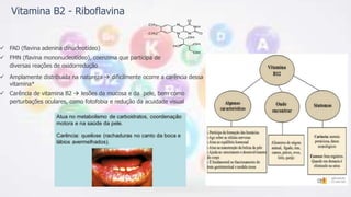 Vitamina B2 - Riboflavina
 FAD (flavina adenina dinucleotídeo)
 FMN (flavina mononucleotídeo), coenzima que participa de
diversas reações de oxidorredução
 Amplamente distribuída na natureza  dificilmente ocorre a carência dessa
vitamina*
 Carência de vitamina B2  lesões da mucosa e da pele, bem como
perturbações oculares, como fotofobia e redução da acuidade visual
 