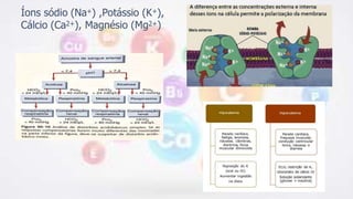 Íons sódio (Na+) ,Potássio (K+),
Cálcio (Ca2+), Magnésio (Mg2+)
 