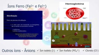 Íons Ferro (Fe2+ e Fe3+)
Outros íons - Ânions  Cloreto (Cl-)
 Íon fosfato (PO4
3-)
 Íon iodeto (I-)
 