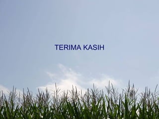 TERIMA KASIH
 