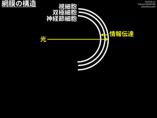 2019.05.15
Takuya KOUMURA
cycentum.com
光
視細胞
双極細胞
神経節細胞
情報伝達
網膜の構造
 