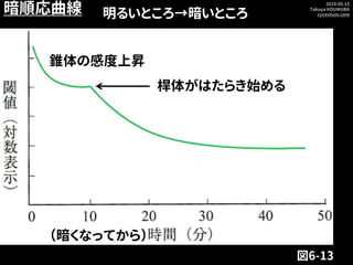 2019.05.15
Takuya KOUMURA
cycentum.com
図6-13
明るいところ→暗いところ
（暗くなってから）
暗順応曲線
桿体がはたらき始める
錐体の感度上昇
 