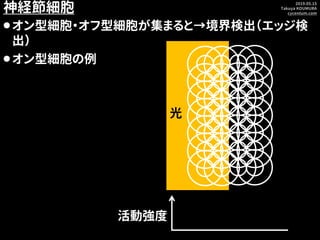 2019.05.15
Takuya KOUMURA
cycentum.com
光
神経節細胞
⚫オン型細胞・オフ型細胞が集まると→境界検出（エッジ検
出）
⚫オン型細胞の例
活動強度
 