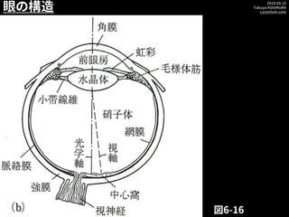 2019.05.15
Takuya KOUMURA
cycentum.com
眼の構造
図6-16
 