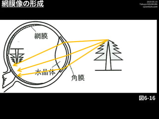 2019.05.15
Takuya KOUMURA
cycentum.com
網膜像の形成
図6-16
 