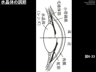 2019.05.15
Takuya KOUMURA
cycentum.com
図6-33
水晶体の調節
 