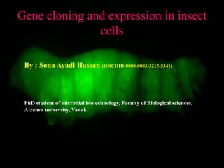 Gene cloning and expression in insect
cells
By : Sona Ayadi Hassan (ORCHID:0000-0003-3215-5341)
PhD student of microbial biotechnology, Faculty of Biological sciences,
Alzahra university, Vanak
 