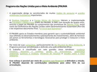 ProgramadasNaçõesUnidasparaoMeioAmbiente(PNUMA
• A organização abriga os secretariados de muitos órgãos de pesquisa e acordos
ambientais multilaterais importantes.
• A Diretora Executiva e a Equipe Sênior de Gestores lideram a implementação
da Estratégia a Médio Prazo (EMP) do PNUMA. A EMP, com duração de quatro anos,
articula o papel do PNUMA no cumprimento das promessas da Agenda 2030, assim
como da Conferência das Nações Unidas sobre Desenvolvimento Sustentável (Rio+20)
e do respectivo documento final, “O Futuro que Queremos”.
• O PNUMA apoia os Estados-membros para garantir que a sustentabilidade ambiental
seja refletida no desenvolvimento e planejamento de investimentos, além de fornecer
aos países as ferramentas e tecnologias necessárias para proteger e restaurar o meio
ambiente.
• Por meio de suas campanhas, particularmente do Dia Mundial do Meio Ambiente, o
Programa promove sensibilização e defende uma ação ambiental eficaz.
• O trabalho é classificado em sete grandes áreas temáticas: mudança
climática, desastres e conflitos, gestão de ecossistemas, governança
ambiental, químicos e resíduos, eficiência de recursos e estudos sobre o meio
ambiente.
• Esse esforço é possível por meio de parceiros que financiam e defendem a missão.
O PNUMA depende de contribuições voluntárias para obter 95% de sua
arrecadação.
 