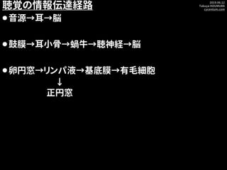 2019.06.12
Takuya KOUMURA
cycentum.com
聴覚の情報伝達経路
⚫音源→耳→脳
⚫鼓膜→耳小骨→蝸牛→聴神経→脳
⚫卵円窓→リンパ液→基底膜→有毛細胞
↓
正円窓
 