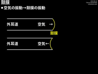 2019.06.12
Takuya KOUMURA
cycentum.com
鼓膜
⚫空気の振動→鼓膜の振動
鼓膜
外耳道 空気 →
外耳道 空気←
 