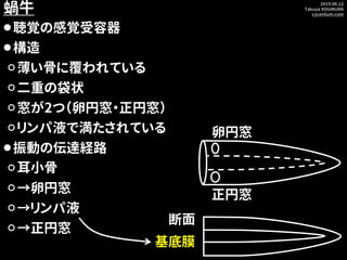 2019.06.12
Takuya KOUMURA
cycentum.com
蝸牛
⚫聴覚の感覚受容器
⚫構造
⚪薄い骨に覆われている
⚪二重の袋状
⚪窓が2つ（卵円窓・正円窓）
⚪リンパ液で満たされている
⚫振動の伝達経路
⚪耳小骨
⚪→卵円...