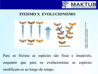 FIXISMO X EVOLUCIONISMO
Para os fixistas as espécies são fixas e imutáveis,
enquanto que para os evolucionistas as espécies
modificam-se ao longo do tempo.
Imagem:
SEE-PE,
redesenhado
a
partir
de
imagem
de
Autor
Desconhecido.
 