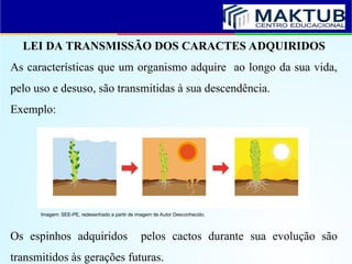 LEI DA TRANSMISSÃO DOS CARACTES ADQUIRIDOS
As características que um organismo adquire ao longo da sua vida,
pelo uso e desuso, são transmitidas à sua descendência.
Exemplo:
Os espinhos adquiridos pelos cactos durante sua evolução são
transmitidos às gerações futuras.
Imagem: SEE-PE, redesenhado a partir de imagem de Autor Desconhecido.
 