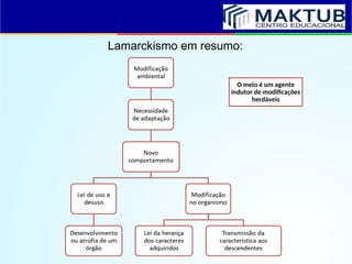 Lamarckismo em resumo:
O meio é um agente
indutor de modificações
herdáveis
 