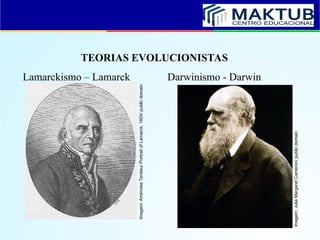 TEORIAS EVOLUCIONISTAS
Lamarckismo – Lamarck Darwinismo - Darwin
Imagem:
Julia
Margaret
Cameron/
public
domain
Imagem:
Ambroise
Tardieu/
Portrait
of
Lamarck,
1824/
public
domain
 
