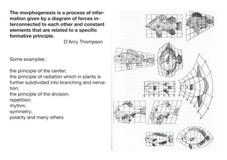 Morphogenesis Examples Aesthetic empathy | PDF