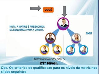 Obs. Os criterios de qualificacao para os niveis da matriz nos
slides seguintes
 