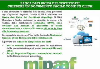BANCA DATI UNICA DEI CERTIFICATI CHIEDERE UN DOCUMENTO FACILE COME UN CLICK 
I vari documenti e certificati dell’azienda sono presentati agli Organismi Pagatori, tramite il SIAN mediante una Banca dati Unica dei Certificati (AgeaRep). Il SIAN Coordina a livello nazionale la raccolta, la durata e la validità delle certificazioni (antimafia, DURC, ecc.), evitando alle aziende di presentare la stessa documentazione a diversi OP ovvero più volte in base alle domande presentate. Sarà possibile accelerare l’iter delle domande, limitando i tempi di attesa di richiesta delle certificazioni. È prevista una riduzione complessiva dei costi: 
Per le aziende: risparmio sul costo di acquisizione della documentazione e di tempo senza più file negli uffici 
Per gli Organismi Pagatori: economie sui controlli della documentazione presentata  
