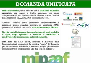 DOMANDA UNIFICATA 
Meno burocrazia per le aziende con la Domanda Unificata, presentata una tantum a livello nazionale, che possa comprendere al suo interno tutte le diverse misure previste dalla normativa (PAC, UMA, PSR, assicurazioni, ecc). 
Ciascuna azienda potrà presentare, autonomamente o recandosi presso qualsiasi struttura di assistenza (CAA) presente sul territorio nazionale, un’unica domanda di aiuto. 
Si evita così alle imprese la compilazione di tanti moduli e il “giro degli sportelli” e saranno le Istituzioni a condividere le informazioni automaticamente. 
Sarà cura del SIAN, infatti, smistare a ciascuna delle Amministrazioni competenti la relativa “parte” di domanda per la successiva istruttoria e avviare i singoli procedimenti amministrativi in ottemperanza alle disposizioni di legge.  