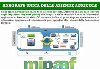 ANAGRAFE UNICA DELLE AZIENDE AGRICOLE 
Viene creata un’anagrafe unica delle aziende agricole, attraverso un data base federato degli Organismi Pagatori (cloud) che integra e rende disponibili tutte le informazioni aggiornate su base territoriale. Ciò consente inoltre di poter disporre costantemente di informazioni aggiornate a livello nazionale per rispondere alle richieste della Commissione Europea.  