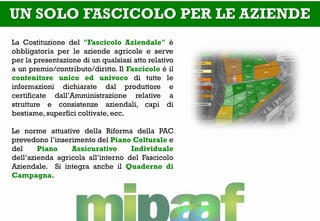 UN SOLO FASCICOLO PER LE AZIENDE 
La Costituzione del "Fascicolo Aziendale" è obbligatoria per le aziende agricole e serve per la presentazione di un qualsiasi atto relativo a un premio/contributo/diritto. Il Fascicolo è il contenitore unico ed univoco di tutte le informazioni dichiarate dal produttore e certificate dall’Amministrazione relative a strutture e consistenze aziendali, capi di bestiame, superfici coltivate, ecc. Le norme attuative della Riforma della PAC prevedono l’inserimento del Piano Colturale e del Piano Assicurativo Individuale dell’azienda agricola all’interno del Fascicolo Aziendale. Si integra anche il Quaderno di Campagna.  