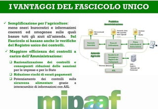I VANTAGGI DEL FASCICOLO UNICO 
Semplificazione per l’agricoltore: meno oneri burocratici e informazioni coerenti ed omogenee sulle quali basare tutti gli aiuti all’azienda. Sul Fascicolo si basano anche le verifiche del Registro unico dei controlli. 
Maggiore efficienza dei controlli a carico dell’Amministrazione: 
Razionalizzazione dei controlli e conseguenti riduzioni delle sanzioni per le imprese e per lo Stato 
Riduzione rischi di errati pagamenti 
Potenziamento dei controlli sulla sicurezza alimentare grazie a interscambio di informazioni con ASL  