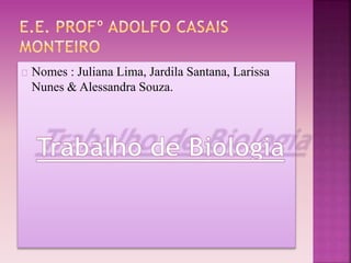 Nomes : Juliana Lima, Jardila Santana, Larissa 
Nunes & Alessandra Souza. 
 