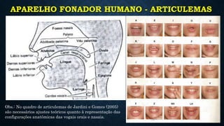 APARELHO FONADOR HUMANO - ARTICULEMAS
Obs.: No quadro de articulemas de Jardini e Gomes (2005)
são necessários ajustes teóricos quanto à representação das
configurações anatômicas das vogais orais e nasais.
 