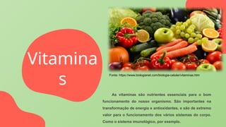 Red fruit
As vitaminas são nutrientes essenciais para o bom
funcionamento do nosso organismo. São importantes na
transformação de energia e antioxidantes, e são de extremo
valor para o funcionamento dos vários sistemas do corpo.
Como o sistema imunológico, por exemplo.
Vitamina
s
Fonte: https://www.biologianet.com/biologia-celular/vitaminas.htm
 