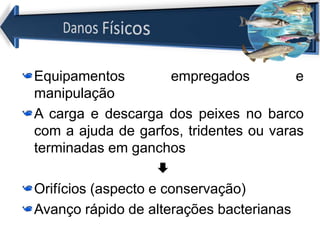 Equipamentos empregados e
manipulação
A carga e descarga dos peixes no barco
com a ajuda de garfos, tridentes ou varas
terminadas em ganchos

Orifícios (aspecto e conservação)
Avanço rápido de alterações bacterianas
 