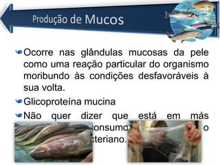 Ocorre nas glândulas mucosas da pele
como uma reação particular do organismo
moribundo às condições desfavoráveis à
sua volta.
Glicoproteína mucina
Não quer dizer que está em más
condições de consumo, mas aumenta o
crescimento bacteriano.
 