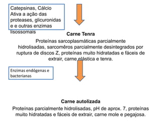 Carne Tenra
Proteínas sarcoplasmáticas parcialmente
hidrolisadas, sarcomêros parcialmente desintegrados por
ruptura de discos Z, proteínas muito hidratadas e fáceis de
extrair, carne elástica e tenra.
Carne autolizada
Proteínas parcialmente hidrolisadas, pH de aprox. 7, proteínas
muito hidratadas e fáceis de extrair, carne mole e pegajosa.
Enzimas endógenas e
bacterianas
Catepsinas, Cálcio
Ativa a ação das
proteases, glicuronidas
e e outras enzimas
lisossomais
 