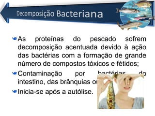 As proteínas do pescado sofrem
decomposição acentuada devido à ação
das bactérias com a formação de grande
número de compostos tóxicos e fétidos;
Contaminação por bactérias do
intestino, das brânquias ou da pele;
Inicia-se após a autólise.
 