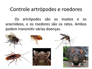 Controle artrópodes e roedores
Os artrópodes são os insetos e os
aracnídeos, e os roedores são os ratos. Ambos
podem transmitir várias doenças.
 
