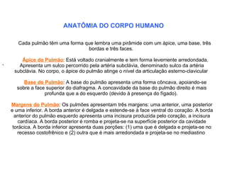 . ANATÔMIA DO CORPO HUMANO

       Cada pulmão têm uma forma que lembra uma pirâmide com um ápice, uma base, três
                                  bordas e três faces.

        Ápice do Pulmão: Está voltado cranialmente e tem forma levemente arredondada.
.      Apresenta um sulco percorrido pela artéria subclávia, denominado sulco da artéria
     subclávia. No corpo, o ápice do pulmão atinge o nível da articulação esterno-clavicular

         Base do Pulmão: A base do pulmão apresenta uma forma côncava, apoiando-se
      sobre a face superior do diafragma. A concavidade da base do pulmão direito é mais
                  profunda que a do esquerdo (devido à presença do fígado).

    Margens do Pulmão: Os pulmões apresentam três margens: uma anterior, uma posterior
    e uma inferior. A borda anterior é delgada e estende-se à face ventral do coração. A borda
      anterior do pulmão esquerdo apresenta uma incisura produzida pelo coração, a incisura
        cardíaca. A borda posterior é romba e projeta-se na superfície posterior da cavidade
     torácica. A borda inferior apresenta duas porções: (1) uma que é delgada e projeta-se no
       recesso costofrênico e (2) outra que é mais arredondada e projeta-se no mediastino
 