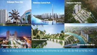 Salekit biệt thự biển & condotel Vinpearl