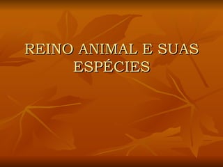 REINO ANIMAL E SUAS ESPÉCIES 