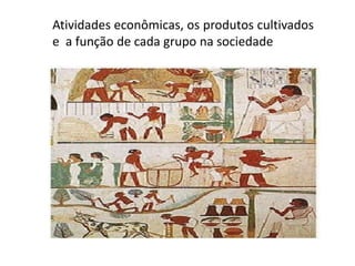 Atividades econômicas, os produtos cultivados
e a função de cada grupo na sociedade
 